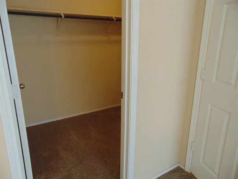 251 Wolfberry Path — Photo 9