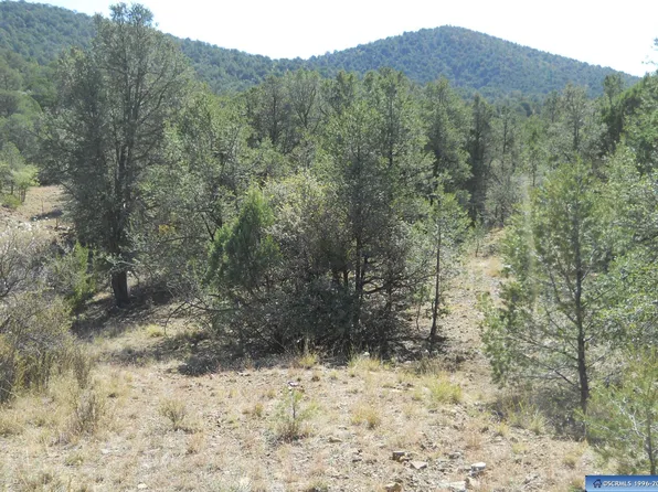 Nikis Rd, Silver City, NM 88061