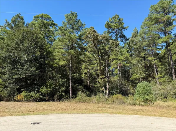 44-37-14 Larkspur Ln, New Waverly, TX 77358
