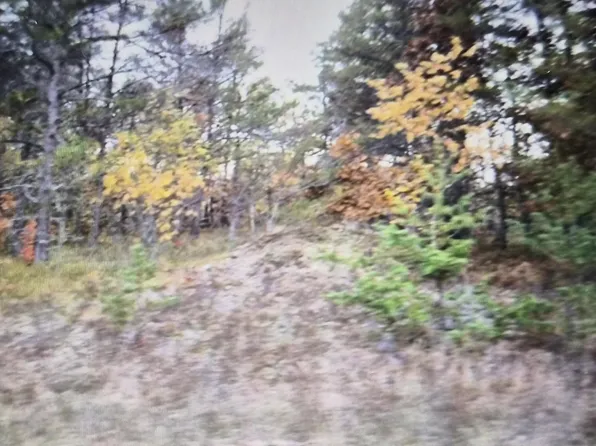 LOT 29 Northwood Dr, Grayling, MI 49738