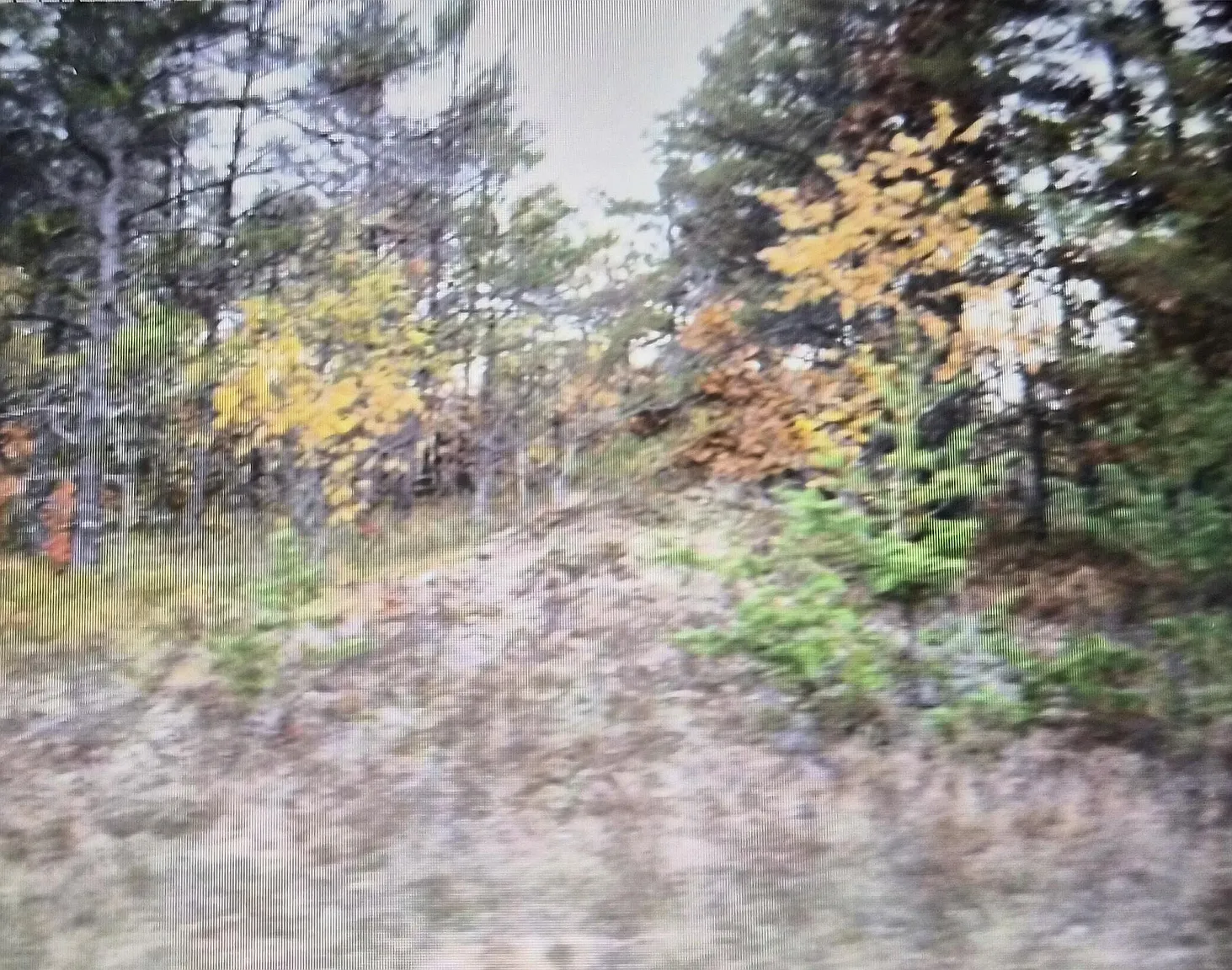 LOT 29 Northwood Dr photo 1