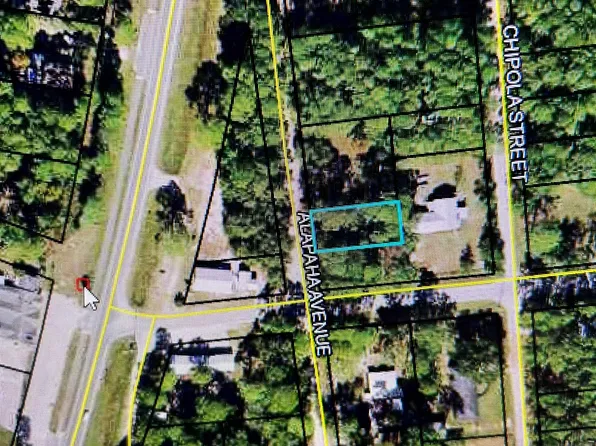 Xx Alapaha Ave, Panacea, FL 32346