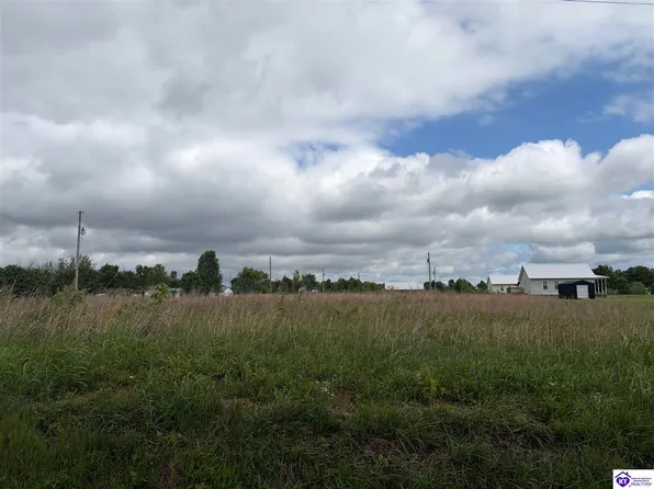 267 Lee Miller Rd, Leitchfield, KY 42754