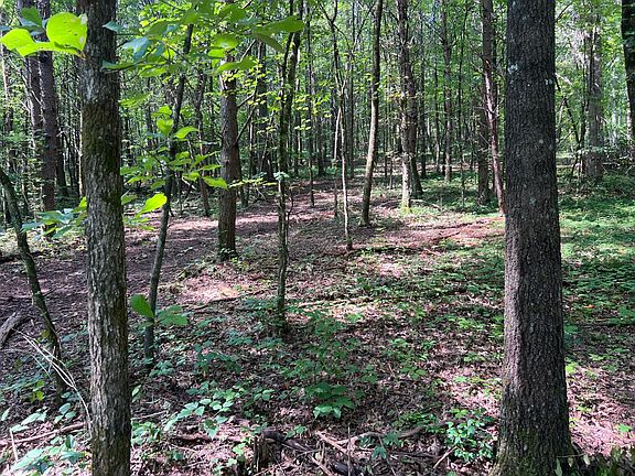 5th image of Old Mine Rd Lot 46
