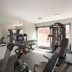 Rented by Bold New York