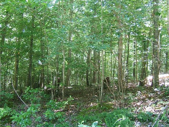 5th image of 0 Sourwood Ln