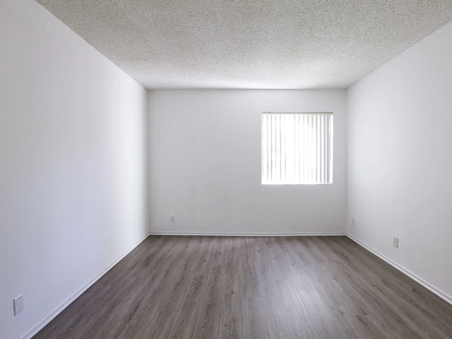 2 bed, $5,000 — Photo 3