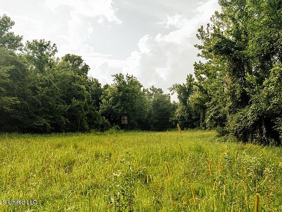 33rd image of this home