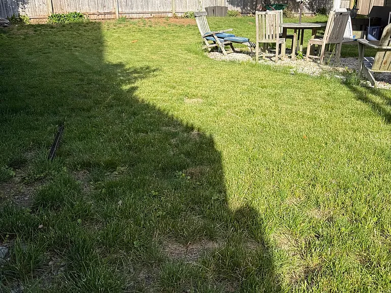 Large back yard