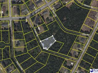 Robert Rd, Lake City, SC 29560