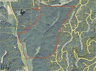 677 Parks Rd, Ellijay, GA 30540