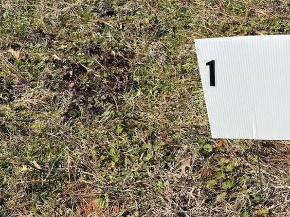 0 Lakeside Hideaway Dr Lot 1, Many, LA 71449