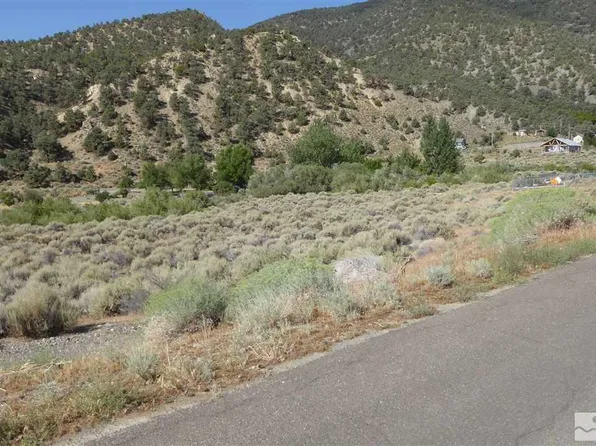 604 Kingston Canyon Rd, Kingston, NV 89310