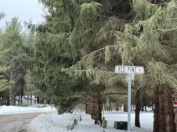 1 Red Pine Ln, Croswell, MI 48422