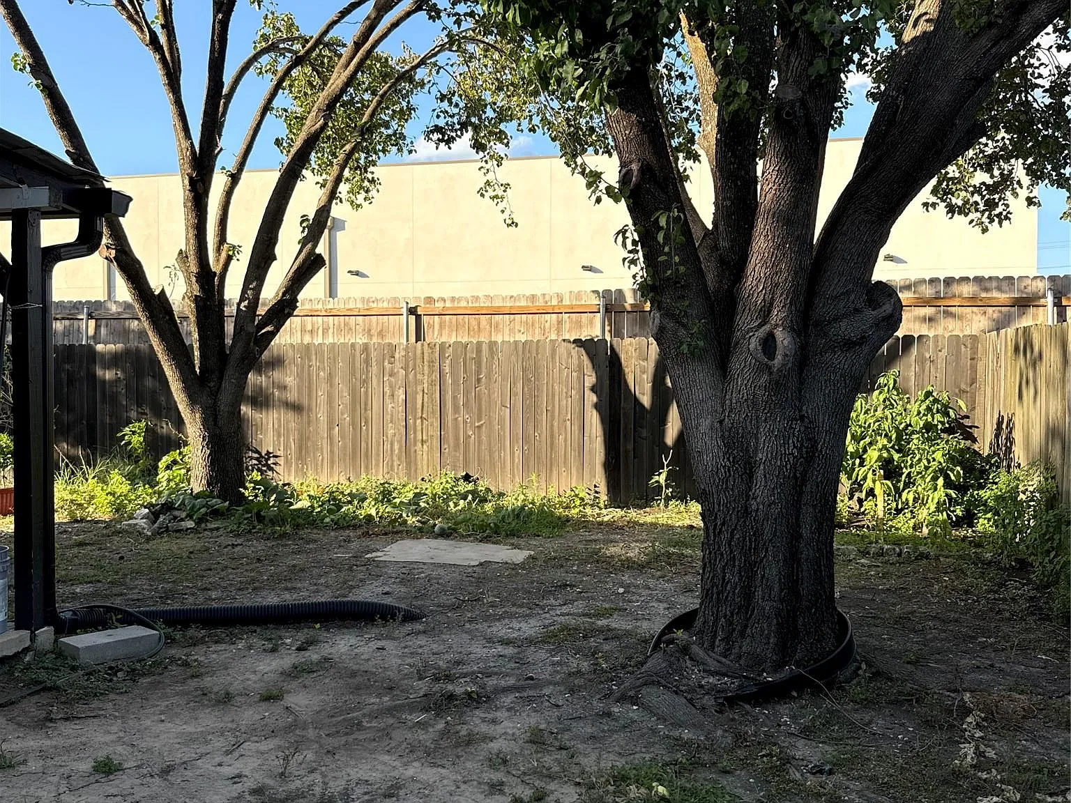 3 bed, 2.0 bath, 1364 sqft, $1,800 — Photo 4