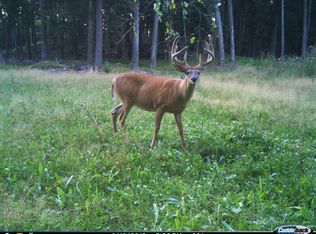 0 Sugar Bush Rd, Birnamwood, WI 54414