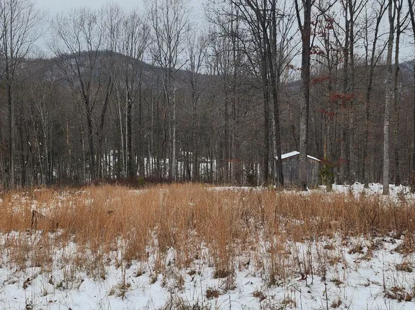 465 E Laurel Dr, Madison, VA 22727