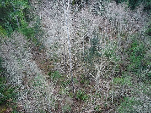 4th image of 63 XX NW Anderson Hill Road