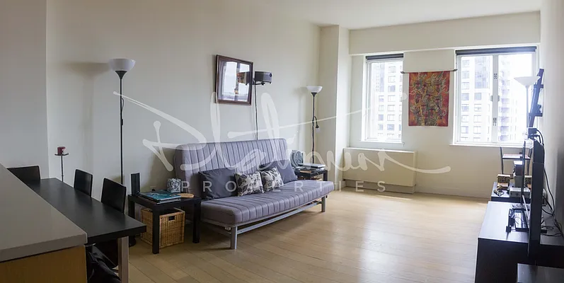 Rented by Platinum Properties | media 15