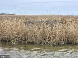 Waterfowl & Sika Ducks Wesley S S Road Deep Br, Crapo, MD 21626