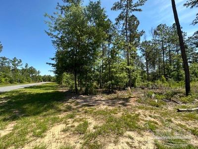 17 Steele Meadow Dr, Milton, FL, 32571