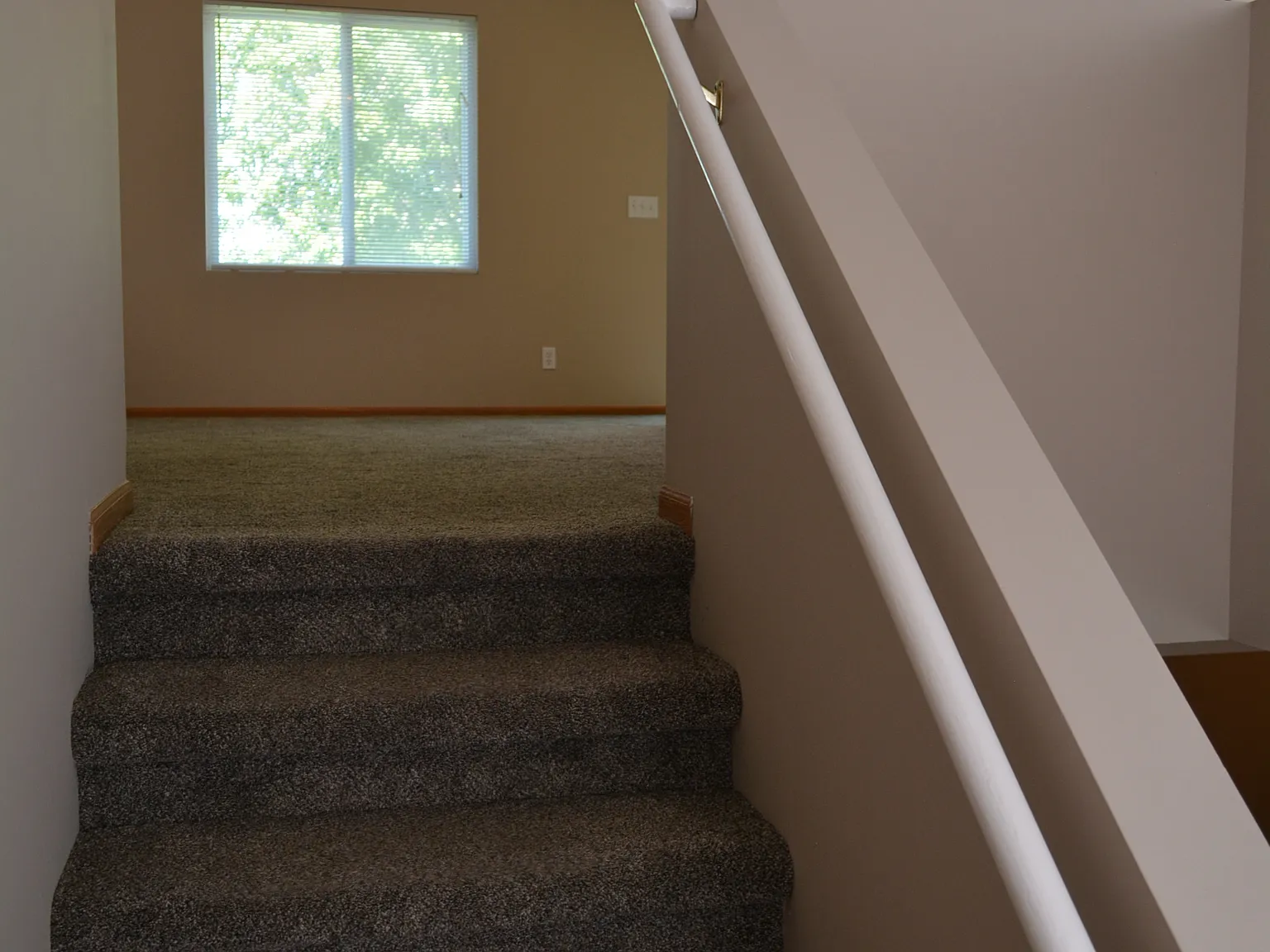 8212 N 153rd Ter — Photo 3