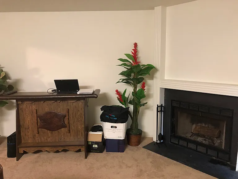 Hard wood fireplace_07082019