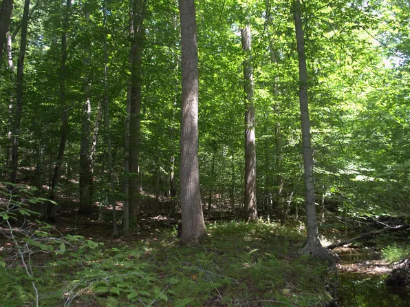 Shadwell Rd, Keswick, VA 22947