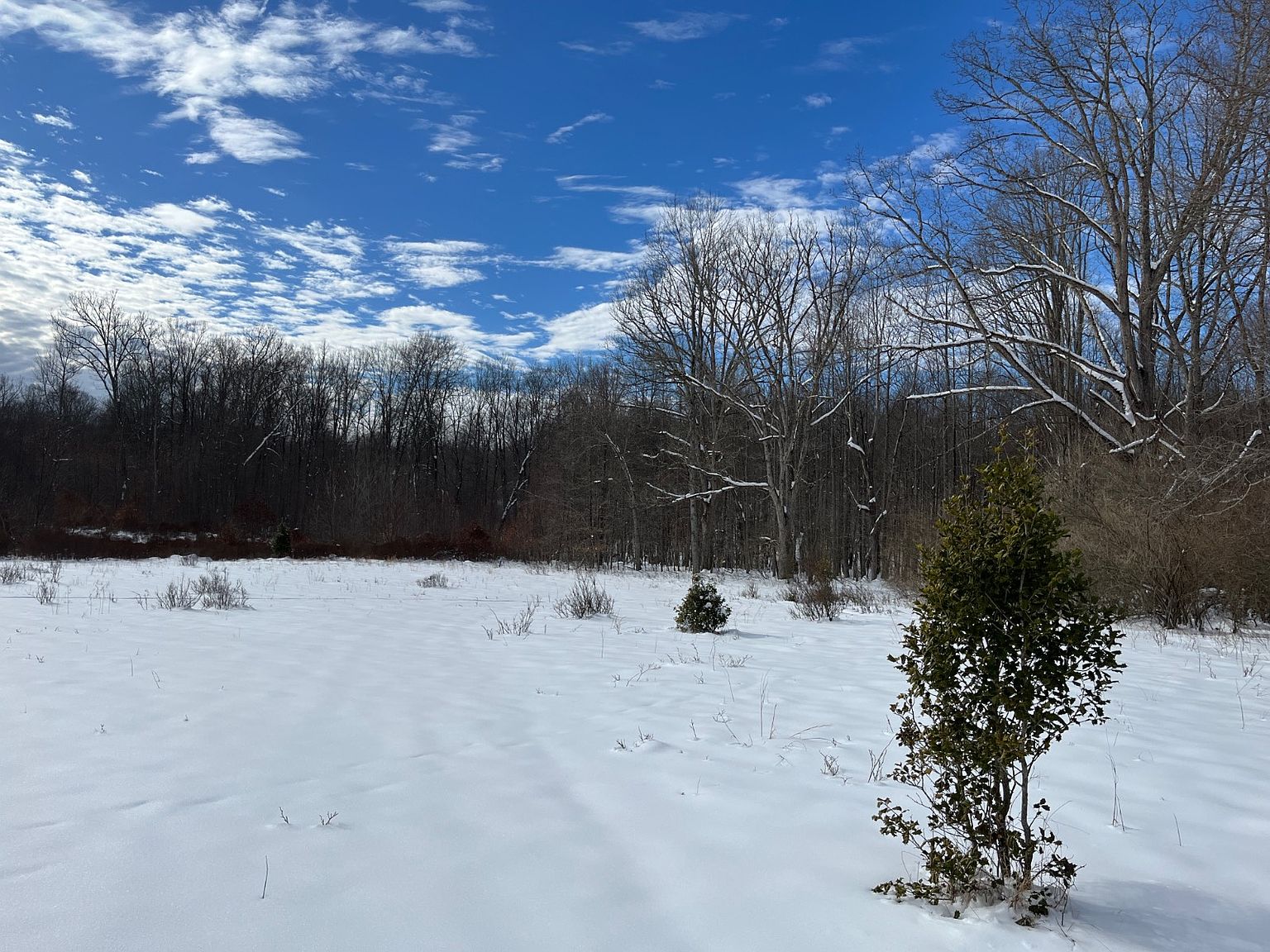 0 Coalton Ave WP002, Coalton, WV 26257 MLS 11239912 Zillow