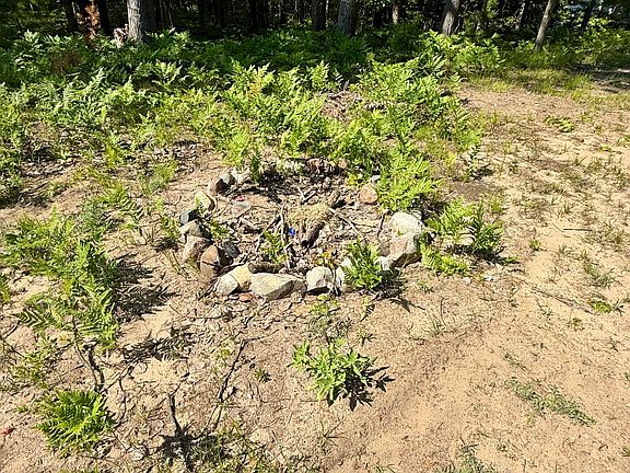 4th image of 998 Grass Lake Ave