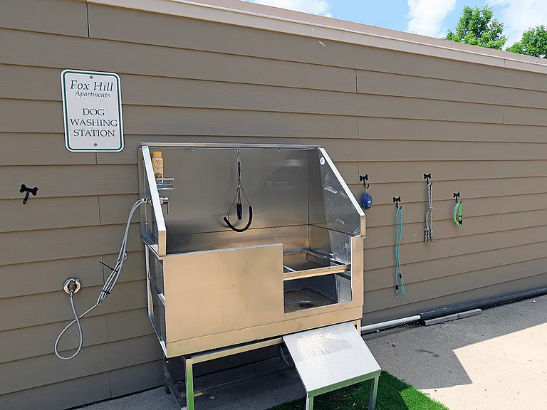 Special Dog Washing Station