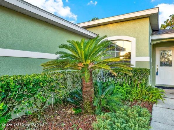 3211 Banyan Hill Ln, Land O Lakes, FL 34639