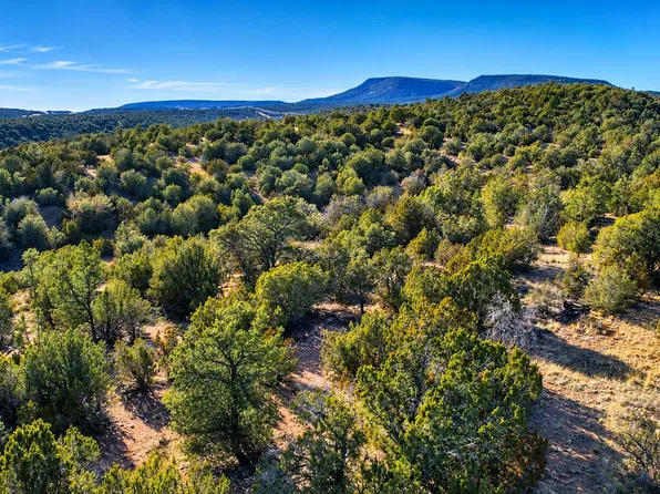 51874 N Cordero Rd, Seligman, AZ 86337