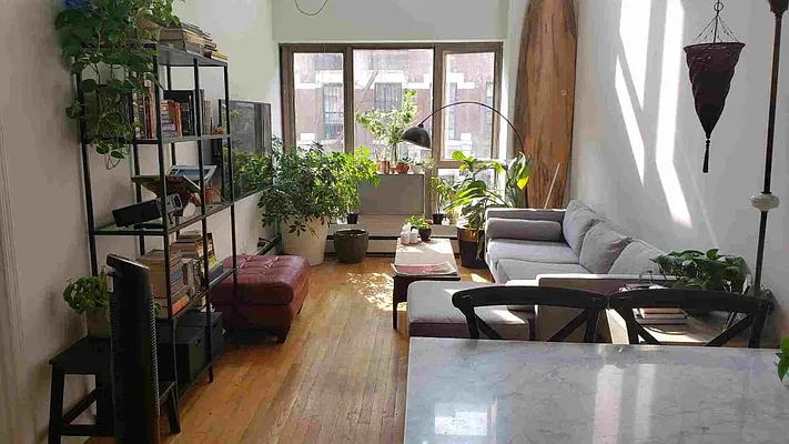 Rented by Shalimar Management | media 42