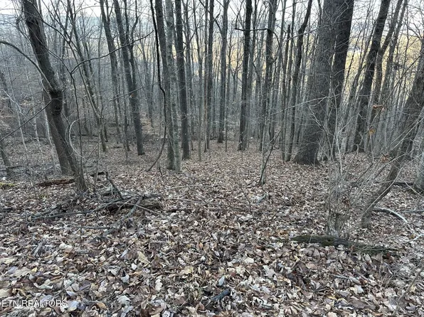 0 Fox Ridge Rd, Pikeville, TN 37367