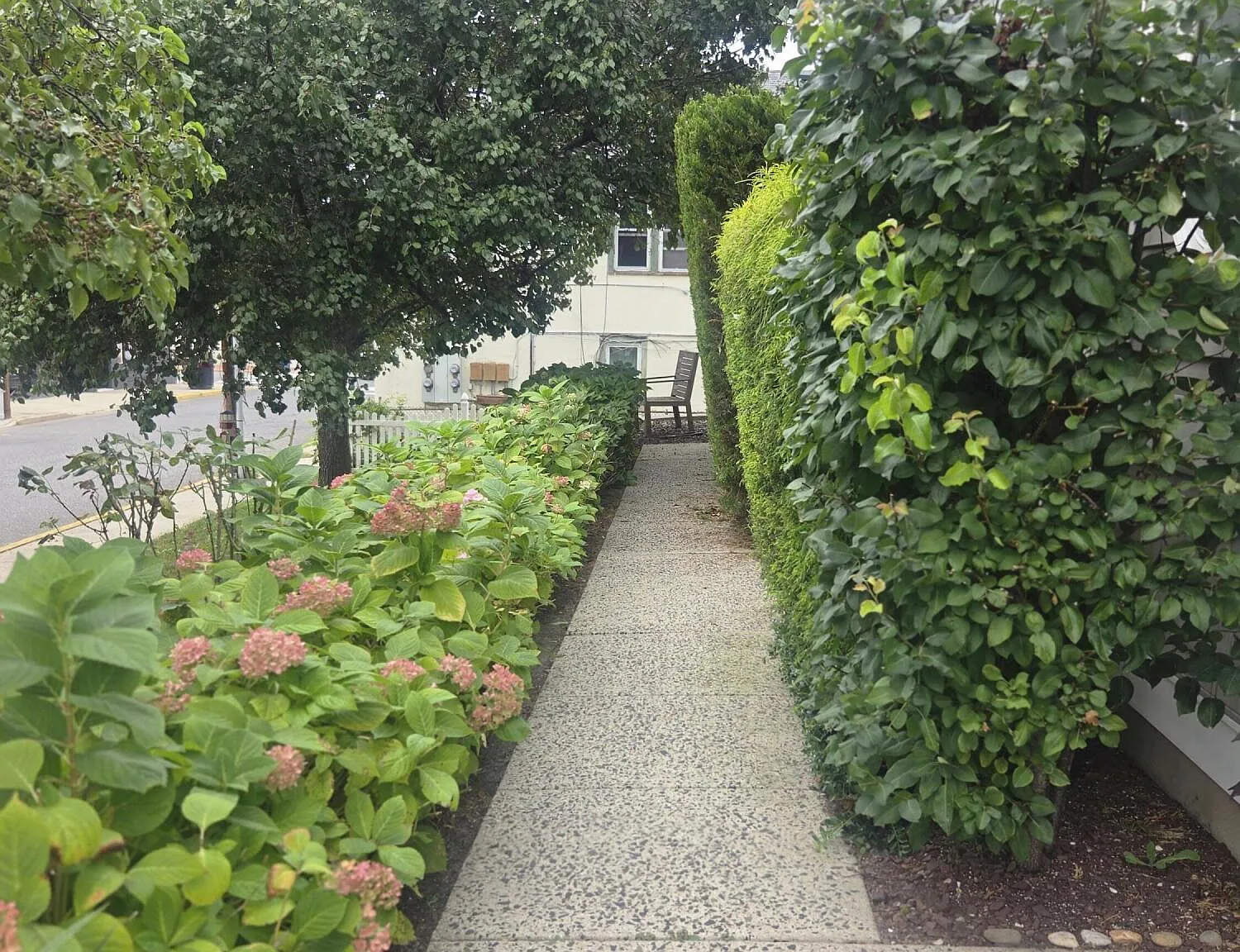 1 bed, $2,200 — Photo 2