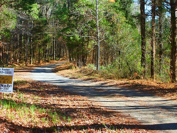 View east from camp entrance
