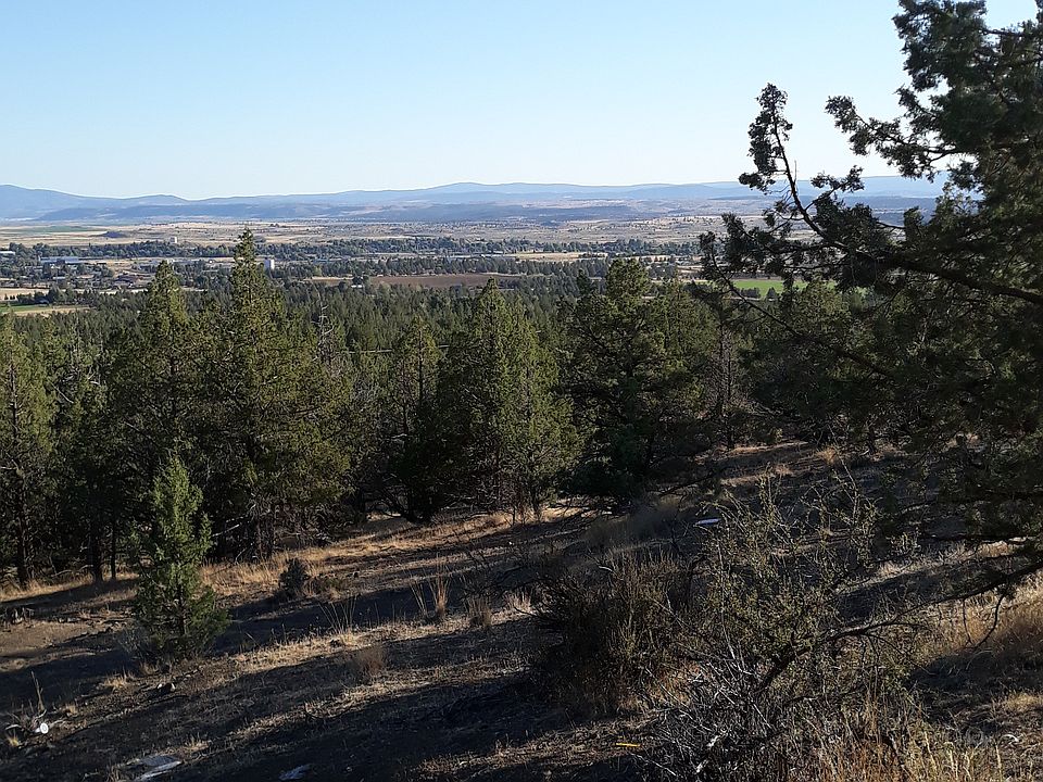 2nd image of 0000 Hummingbird Ln