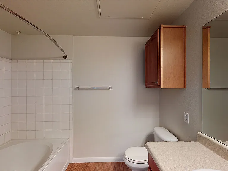 Apartment bathroom with wood-style flooring.