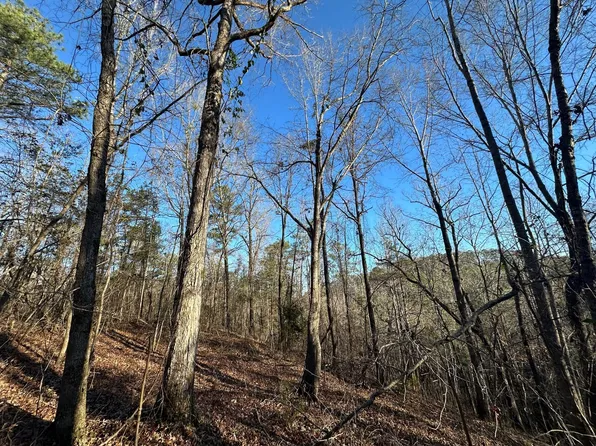 1659 Water Oak Rd, Greensboro, AL 36744