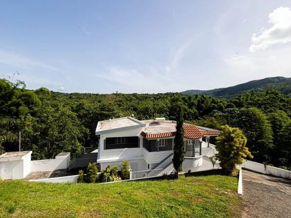 Carr Prairie Km #9920-1.2, San Lorenzo, PR 00754