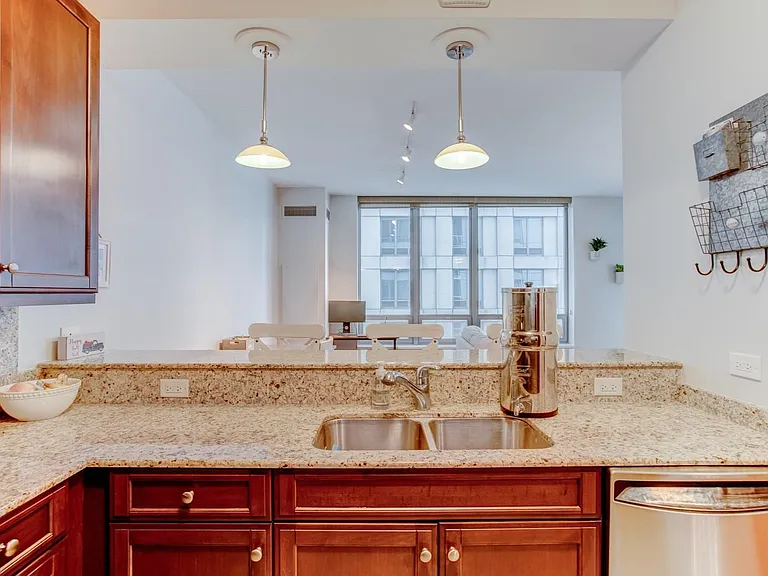 600 N Lake Shore Dr #3210 — Photo 8