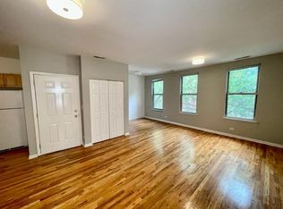 1069 N Hermitage Ave #3, Chicago, IL 60622