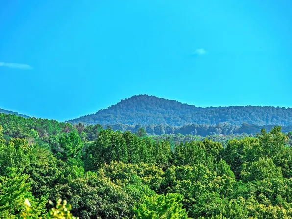 LOT 9 Deer Haven Dr, Morganton, GA 30560