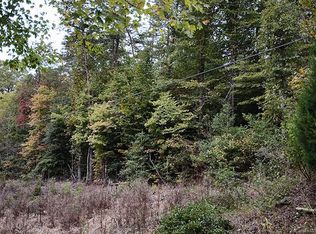 9 E Spring Wheel Dr #1, Old Fort, NC 28762