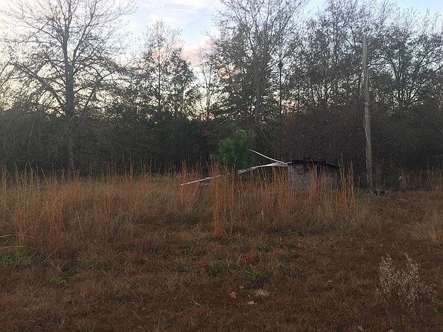 2nd image of 117 Hoss Ln