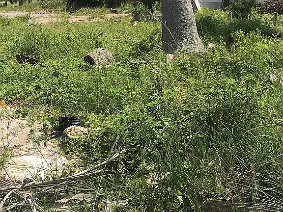 5th image of 4014 Princess Ln