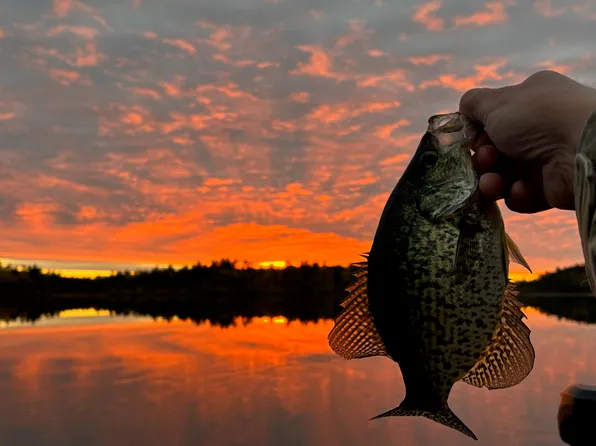 Tbd Wilderness Way Rd, Cook, MN 55723