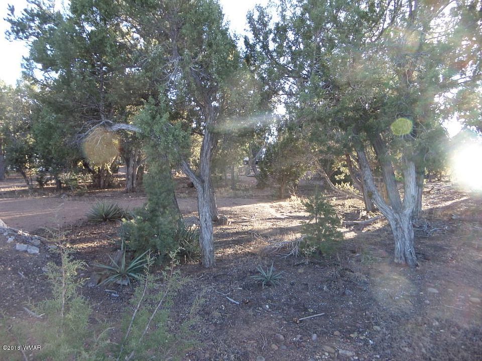 2nd image of 3421 W Lion Barger Dr
