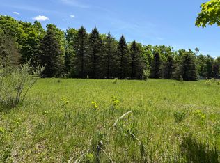 621 Franckowiak Rd, Elmira, MI 49730